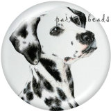 20MM   Dog   Print   glass  snaps buttons