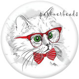 20MM  Cat  pig  Print   glass  snaps buttons