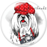20MM  Dog  Print   glass  snaps buttons