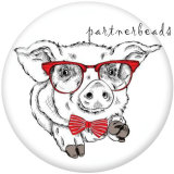 20MM  Cat  pig  Print   glass  snaps buttons
