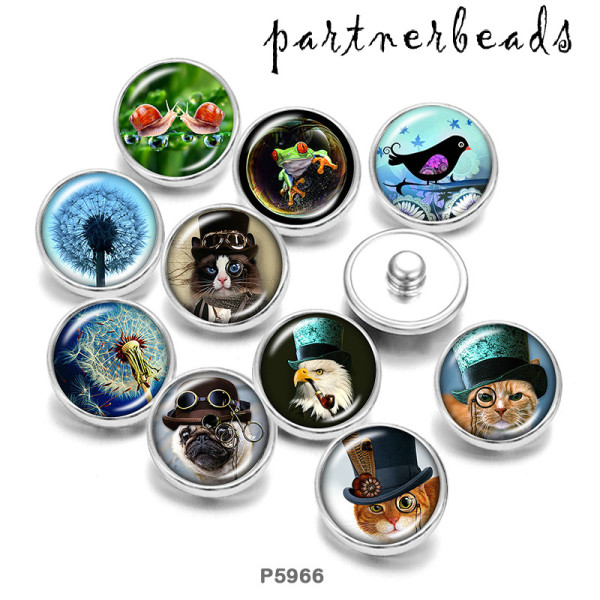 20MM  Cat  bird   Print   glass  snaps buttons
