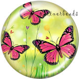 20MM  Butterfly  Owl  Print   glass  snaps buttons