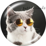 20MM   Cat  Print   glass  snaps buttons