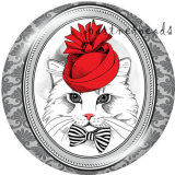 20MM   Cat  Print   glass  snaps buttons