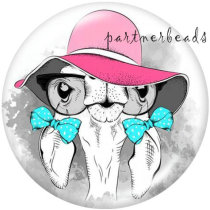 20MM  Dog  Cat  Print   glass  snaps buttons