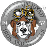 20MM  Dog  Print   glass  snaps buttons