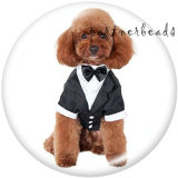 20MM  Dog  Print   glass  snaps buttons
