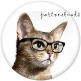 20MM   Cat  Print   glass  snaps buttons