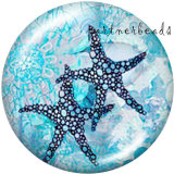 20MM  Butterfly  Owl  Print   glass  snaps buttons