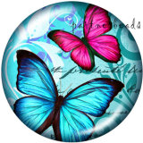 20MM  Butterfly  Owl  Print   glass  snaps buttons
