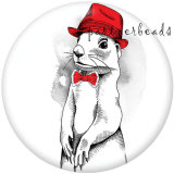 20MM  Cat  pig  Print   glass  snaps buttons