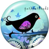 20MM  Cat  bird   Print   glass  snaps buttons