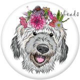 20MM  Dog  Print   glass  snaps buttons
