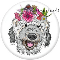 20MM  Dog  Print   glass  snaps buttons