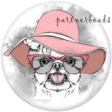 20MM  Dog  Print   glass  snaps buttons