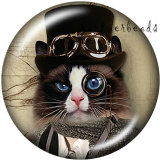 20MM  Cat  bird   Print   glass  snaps buttons