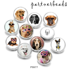 20MM  Dog  Cat  Print   glass  snaps buttons