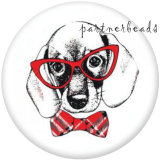 20MM  Dog  Print   glass  snaps buttons