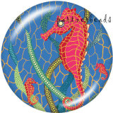20MM  Butterfly  Owl  Print   glass  snaps buttons