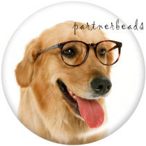 20MM  Dog  Cat  Print   glass  snaps buttons