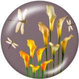 20MM  Flower  Butterfly   Print   glass  snaps buttons