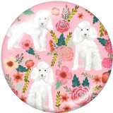 20MM  Cat  Dog  Print   glass  snaps buttons