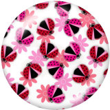 20MM  Flower  Butterfly   Print   glass  snaps buttons