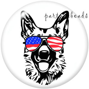 20MM  Dog  Print   glass  snaps buttons