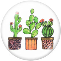 20MM  Cactus  Print   glass  snaps buttons