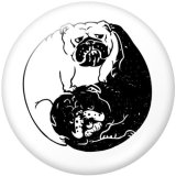 20MM  Cat  Dog  Print   glass  snaps buttons