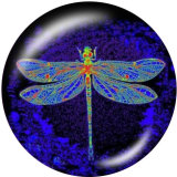 20MM  Flower  Butterfly   Print   glass  snaps buttons