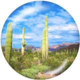 20MM  Cactus  Print   glass  snaps buttons