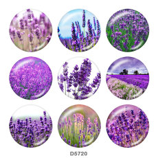 20MM   Flower   Print   glass  snaps buttons