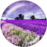 20MM   Flower   Print   glass  snaps buttons