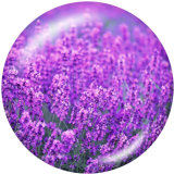 20MM   Flower   Print   glass  snaps buttons