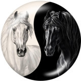 20MM  Butterfly  Horse   Print   glass  snaps buttons