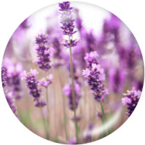 20MM   Flower   Print   glass  snaps buttons