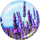 20MM   Flower   Print   glass  snaps buttons