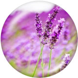20MM   Flower   Print   glass  snaps buttons