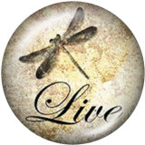 20MM  Dragonfly   Print   glass  snaps buttons