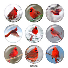 20MM   bird   Print   glass  snaps buttons