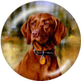 20MM  Dog   Print   glass  snaps buttons