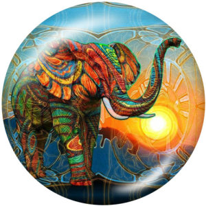 20MM  Elephant   Print   glass  snaps buttons