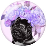 20MM  Flower   Dog   Print   glass  snaps buttons