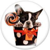 20MM   Dog   Print   glass  snaps buttons