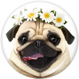 20MM  Flower   Dog   Print   glass  snaps buttons