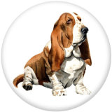 20MM  Dog   Print   glass  snaps buttons