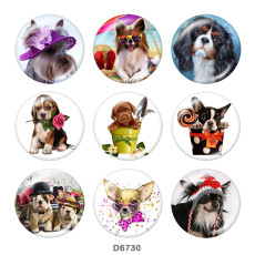 20MM   Dog   Print   glass  snaps buttons