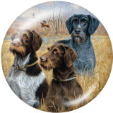 20MM  Dog   Print   glass  snaps buttons