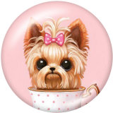 20MM   Dog   Print   glass  snaps buttons